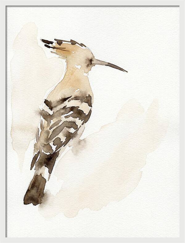 Hoopoe In Watercolor Style
