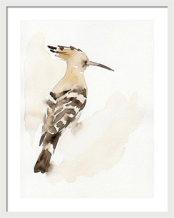 Hoopoe In Watercolor Style
