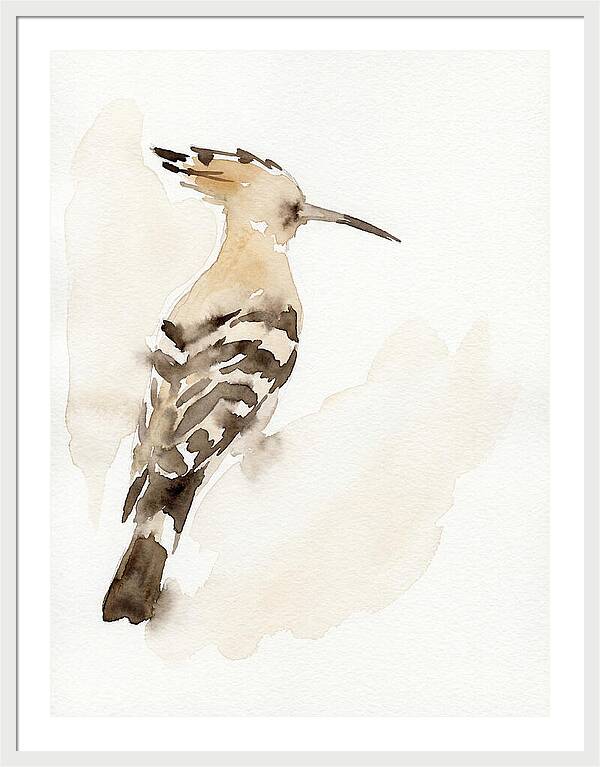 Hoopoe In Watercolor Style