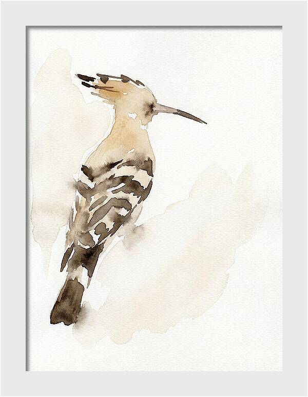 Hoopoe In Watercolor Style