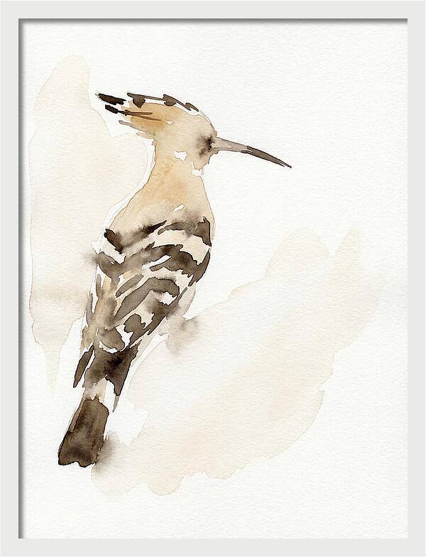 Hoopoe In Watercolor Style