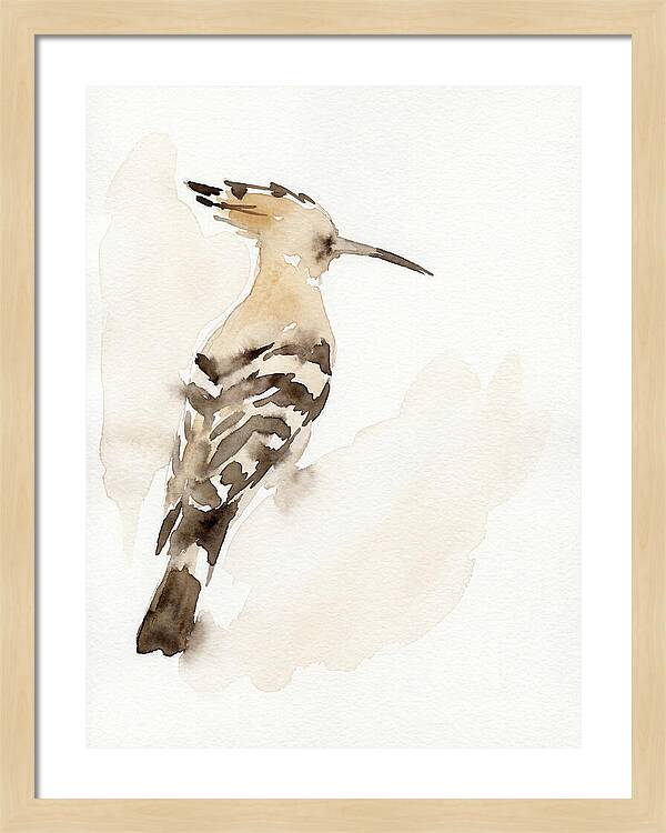 Hoopoe In Watercolor Style