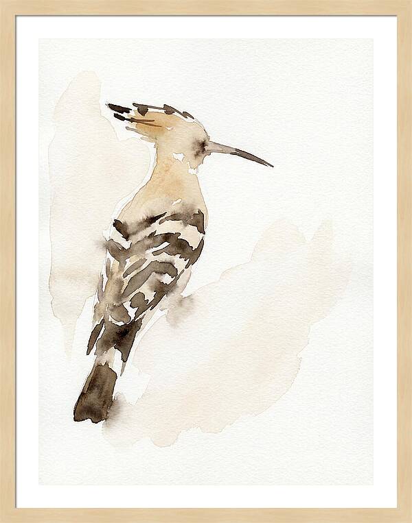 Hoopoe In Watercolor Style