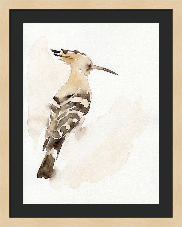Hoopoe In Watercolor Style