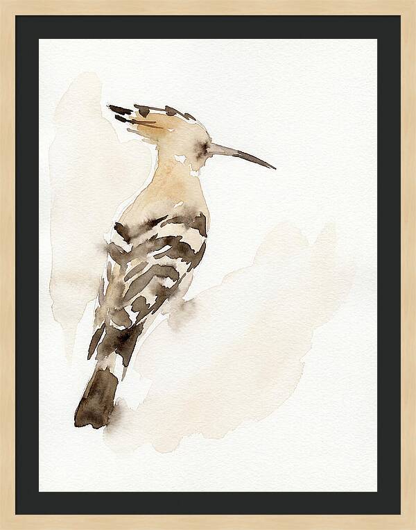 Hoopoe In Watercolor Style