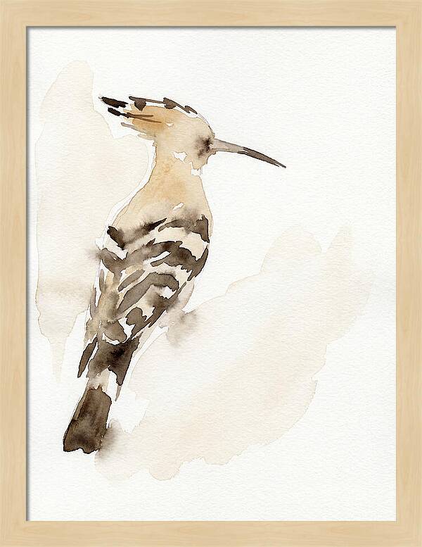 Hoopoe In Watercolor Style