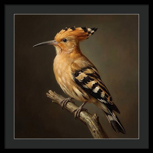 Hoopoe Perched Elegantly