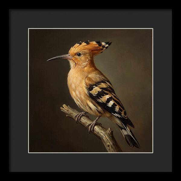 Hoopoe Perched Elegantly