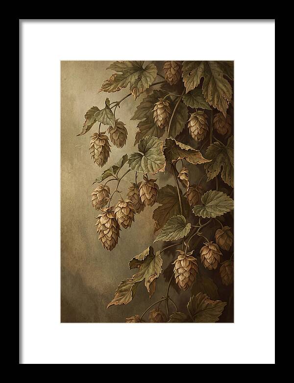 Hops Vine With Papery Green Flower Cones