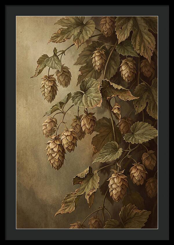 Hops Vine With Papery Green Flower Cones