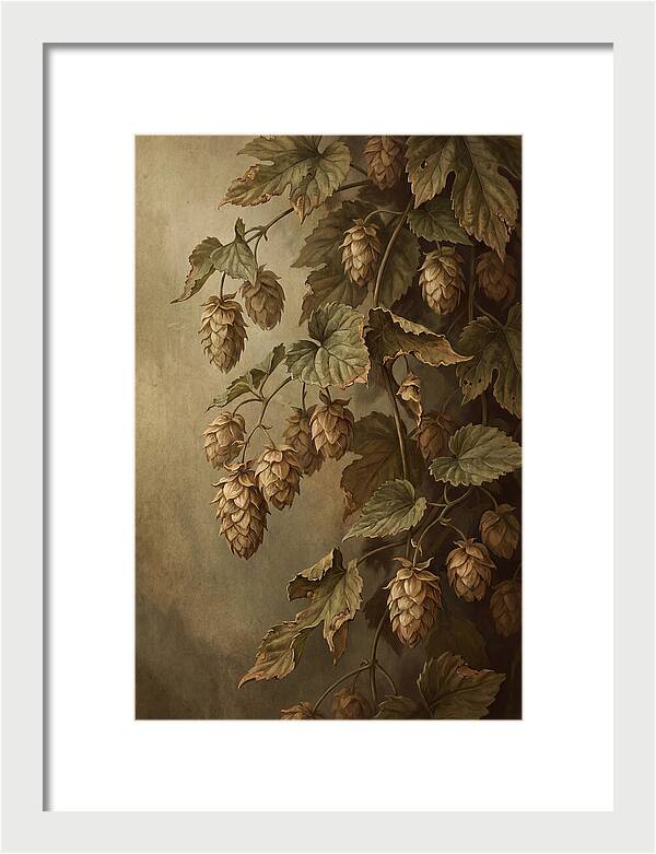 Hops Vine With Papery Green Flower Cones