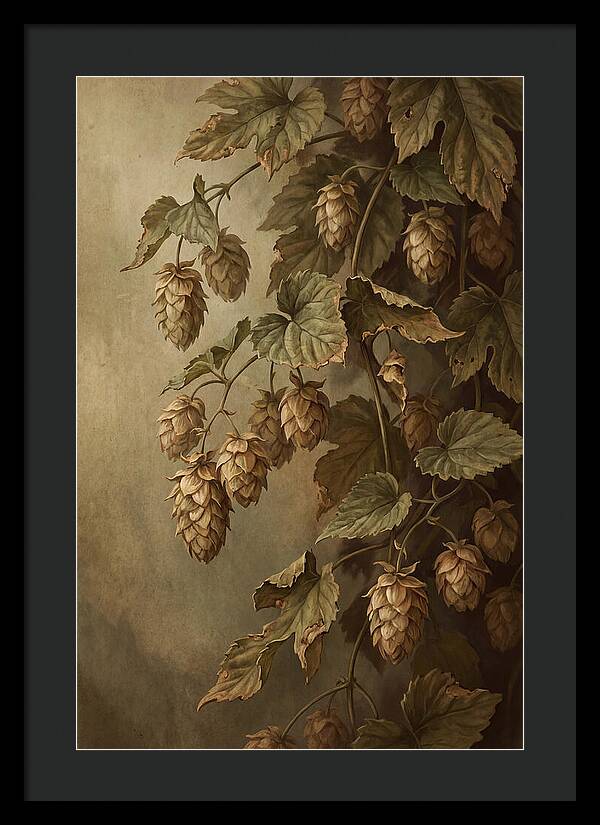 Hops Vine With Papery Green Flower Cones