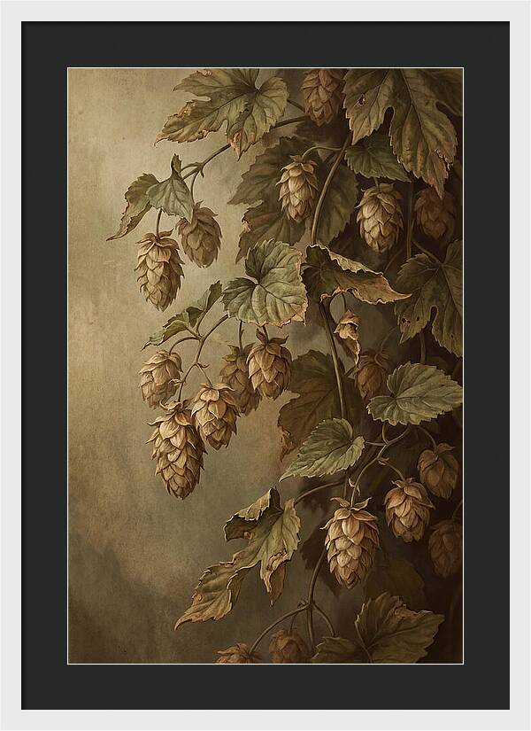 Hops Vine With Papery Green Flower Cones