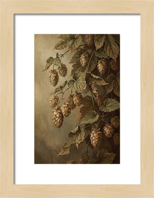 Hops Vine With Papery Green Flower Cones