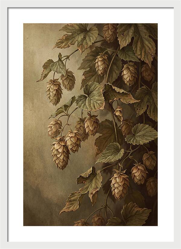 Hops Vine With Papery Green Flower Cones