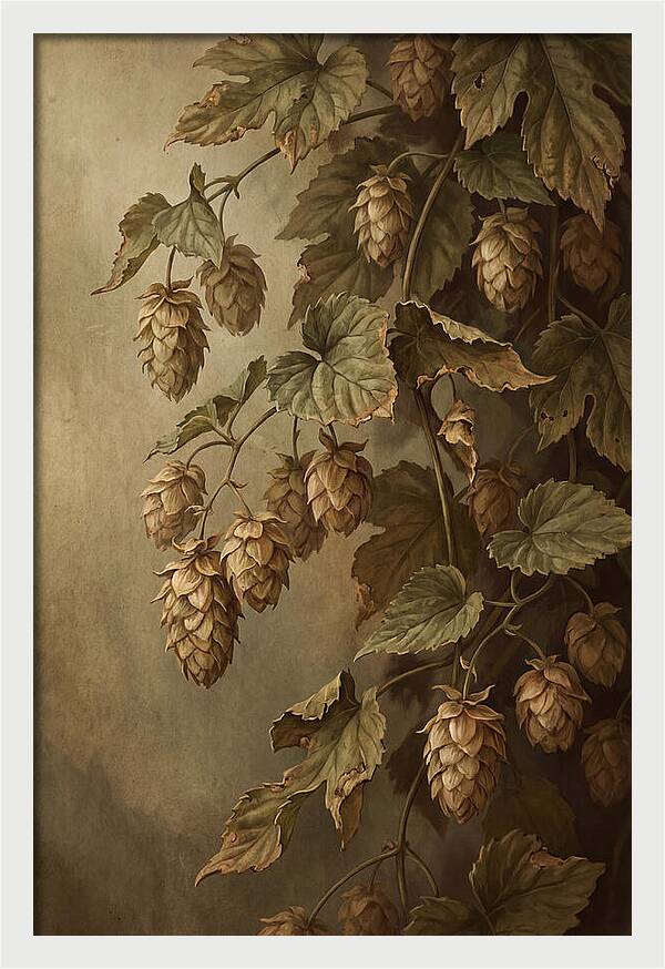 Hops Vine With Papery Green Flower Cones