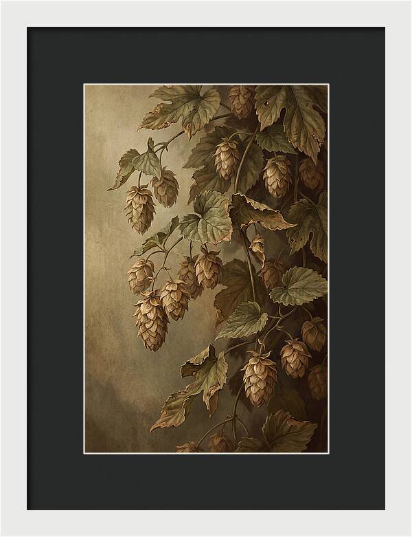 Hops Vine With Papery Green Flower Cones