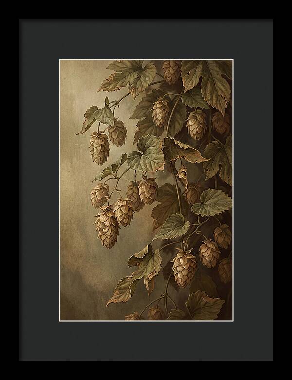 Hops Vine With Papery Green Flower Cones