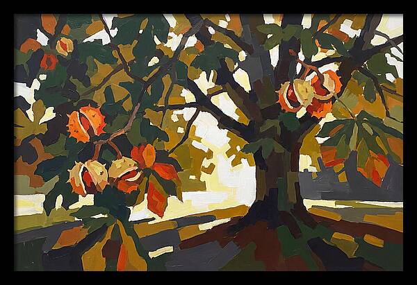Horse Chestnut Tree With Conkers