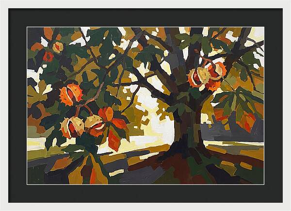 Horse Chestnut Tree With Conkers