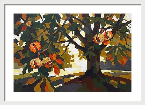 Horse Chestnut Tree With Conkers