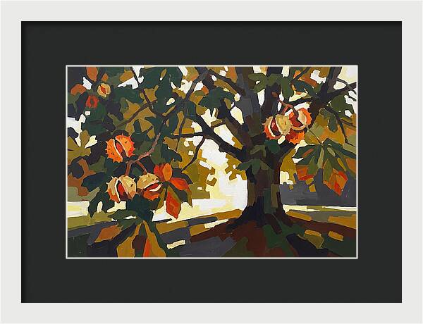 Horse Chestnut Tree With Conkers