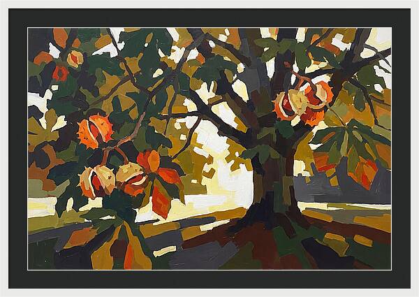 Horse Chestnut Tree With Conkers
