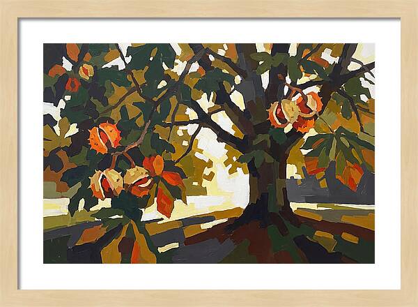 Horse Chestnut Tree With Conkers