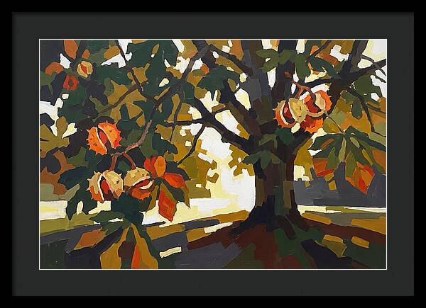 Horse Chestnut Tree With Conkers