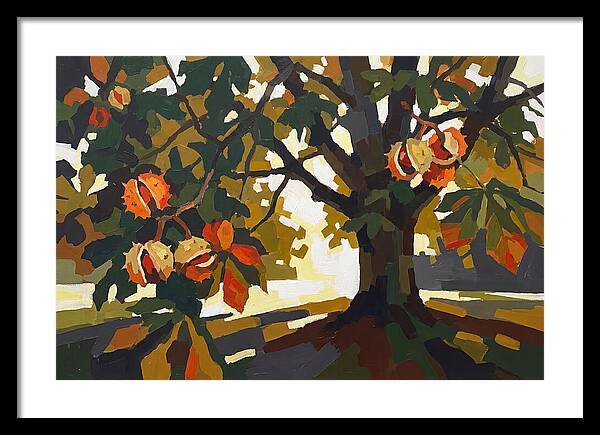 Horse Chestnut Tree With Conkers