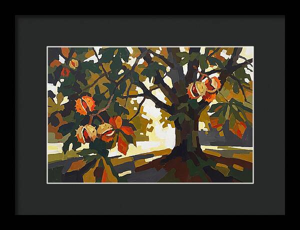 Horse Chestnut Tree With Conkers