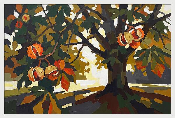Horse Chestnut Tree With Conkers