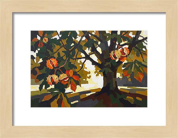 Horse Chestnut Tree With Conkers