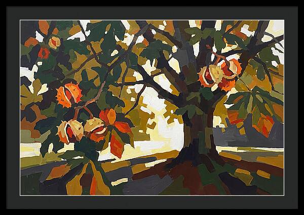 Horse Chestnut Tree With Conkers