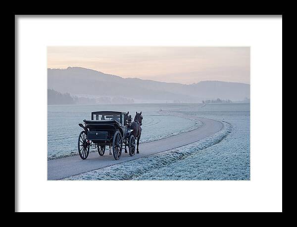 Horse Drawn Carriage At Dawn