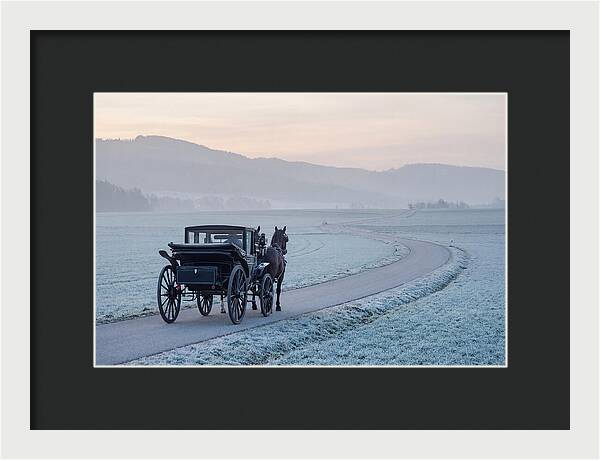 Horse Drawn Carriage At Dawn