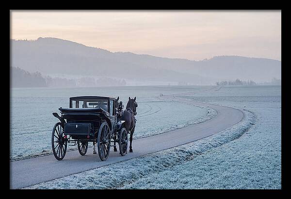 Horse Drawn Carriage At Dawn