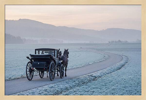 Horse Drawn Carriage At Dawn