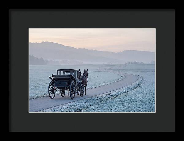 Horse Drawn Carriage At Dawn