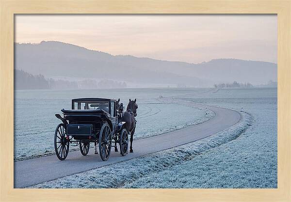 Horse Drawn Carriage At Dawn