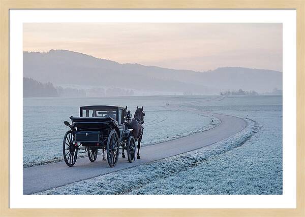 Horse Drawn Carriage At Dawn