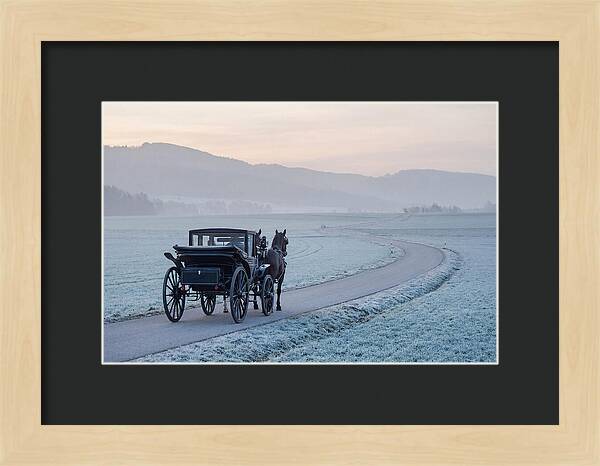 Horse Drawn Carriage At Dawn