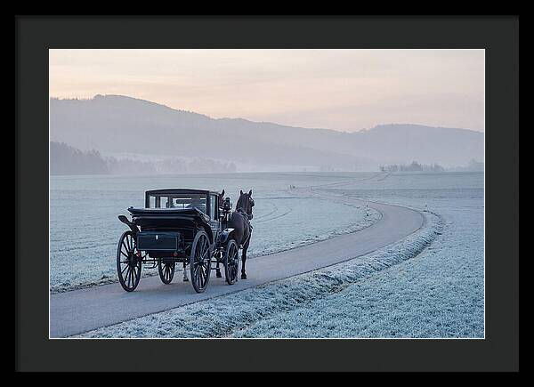 Horse Drawn Carriage At Dawn