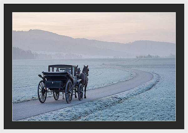 Horse Drawn Carriage At Dawn