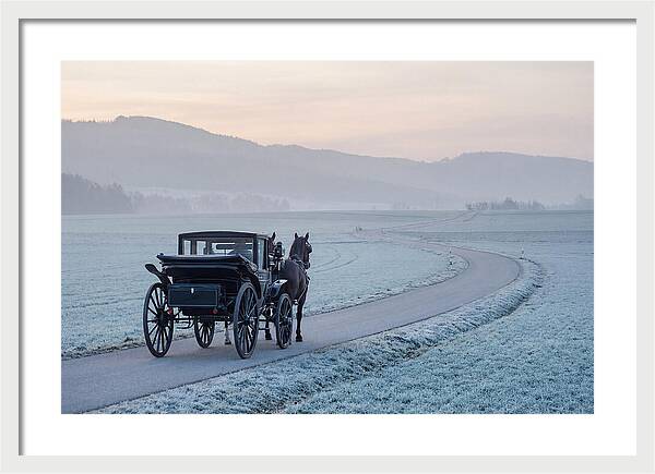 Horse Drawn Carriage At Dawn