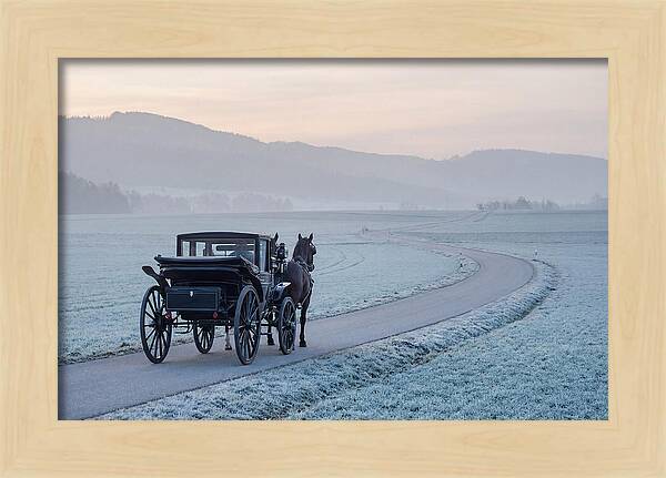 Horse Drawn Carriage At Dawn