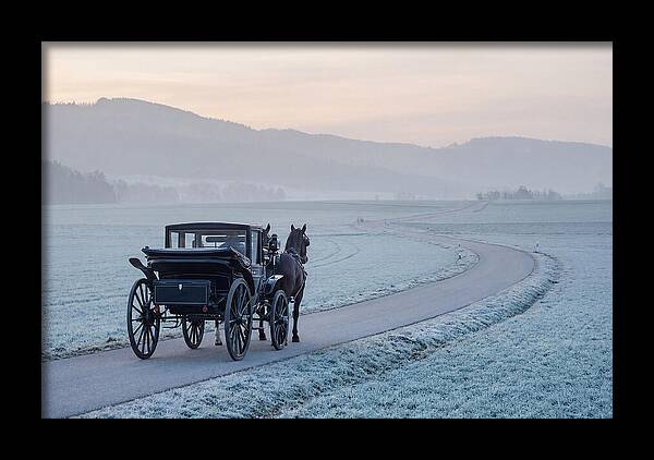 Horse Drawn Carriage At Dawn
