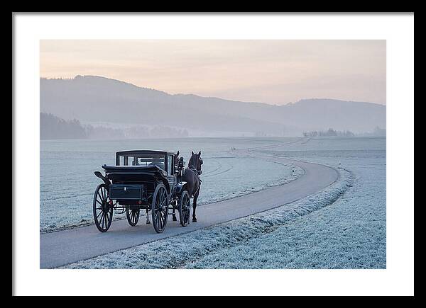 Horse Drawn Carriage At Dawn