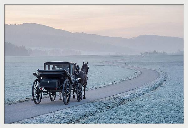 Horse Drawn Carriage At Dawn