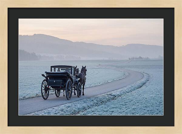 Horse Drawn Carriage At Dawn